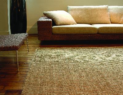 rugs,sisal rugs,sisal rug,seagrass rug,jute rugs,seagrass area rug,natural area rug,jute area rugs,seagrass area rugs,sisal area rugs,discount area rugs